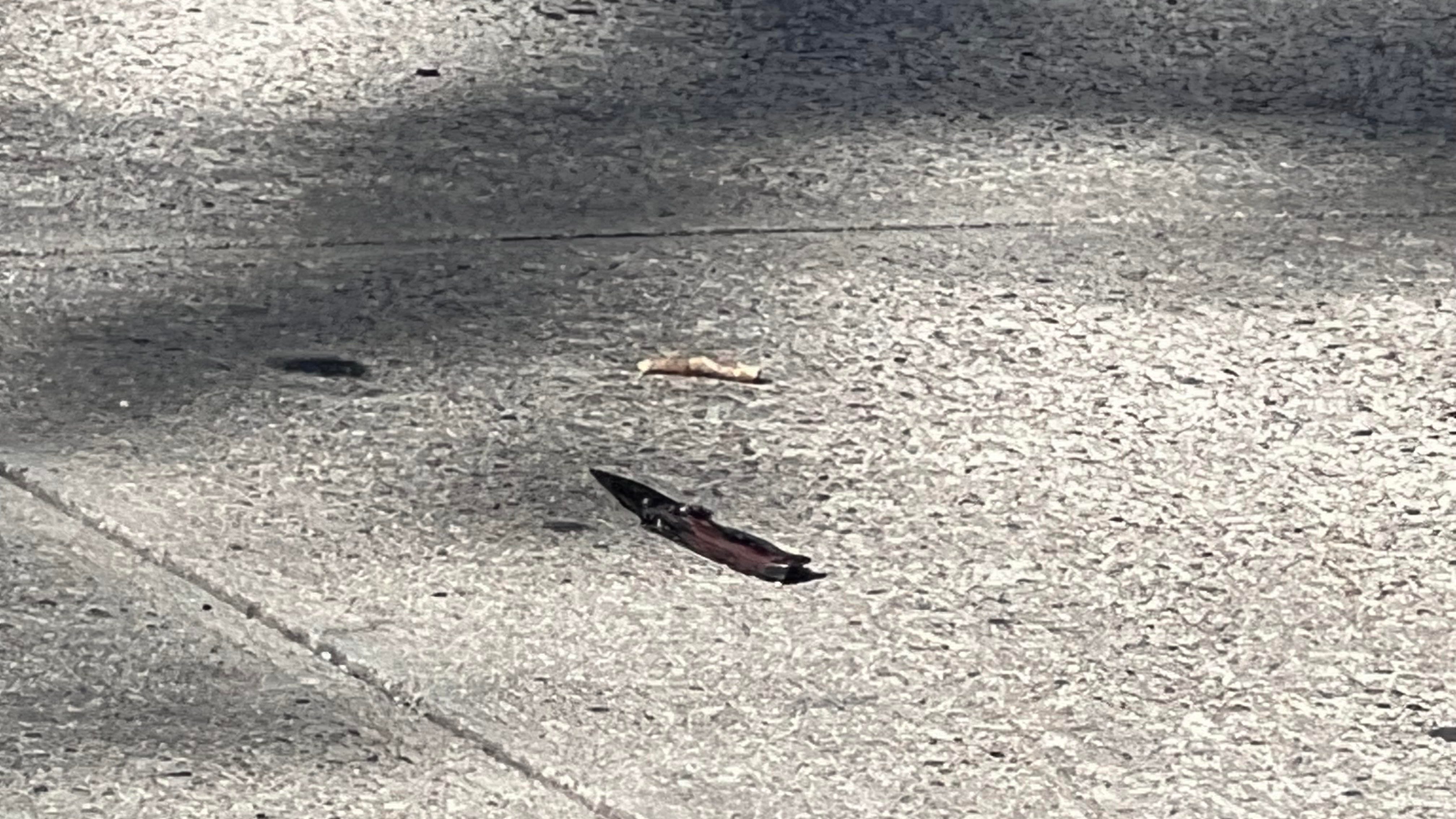 2 boys, ages 11 and 13, stabbed in Brooklyn; no arrests: police
