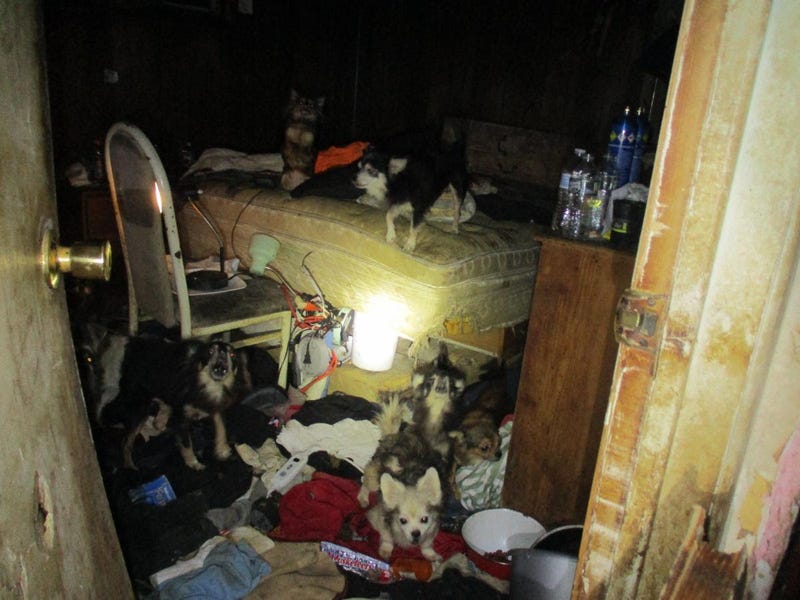 Suffolk County Society for the Prevention of Cruelty to Animals