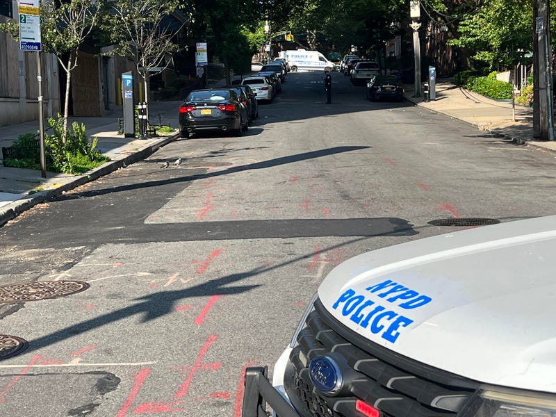 Police are investigating the fatal shooting of a suspected would-be robber in Kew Gardens