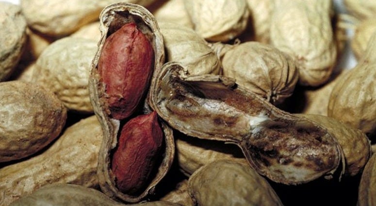 Research published Friday in the medical journal JAMA shows more than 10 percent of U.S. adults, about 26 million people, have at least one food allergy.