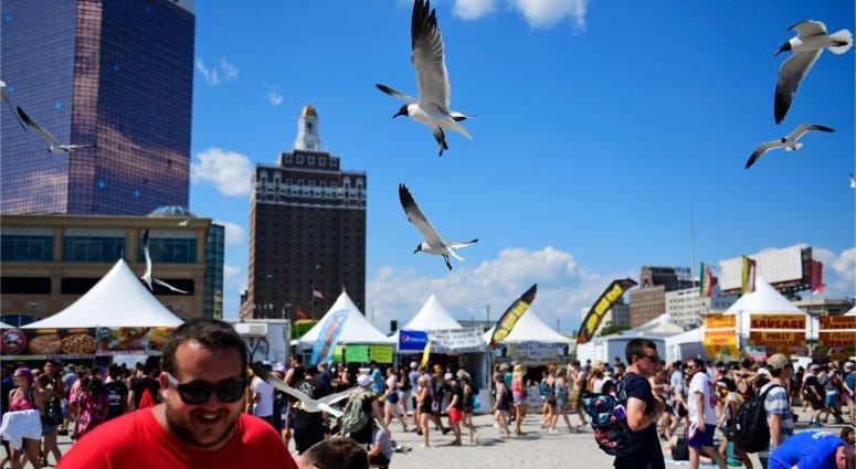 Seagulls on the beach at Warped Tour