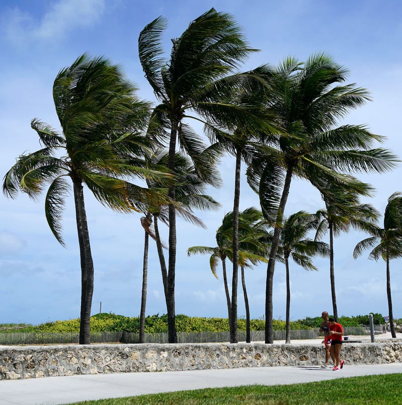 Sep 8, 2017; Miami, FL, USA; A couple jogs along the paved path of South Beach in Miami as palm trees bend in the stiffening wind brought by Hurricane Irma. Mandatory Credit: Trevor Hughes via USA TODAY NETWORK