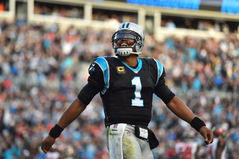 Panthers