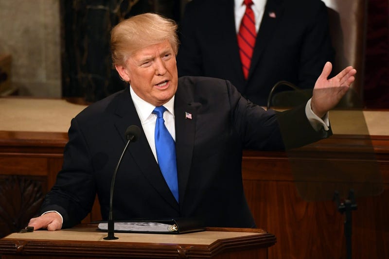 President Donald Trump 