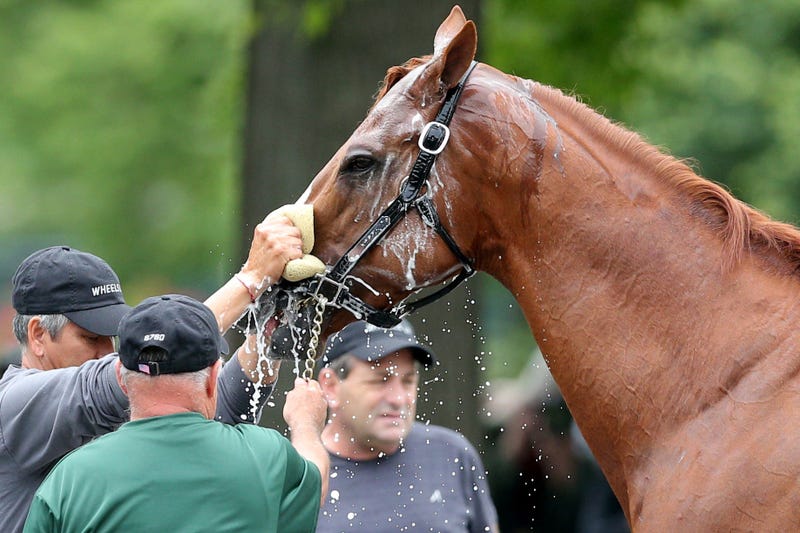 Justify_Belmont_Park