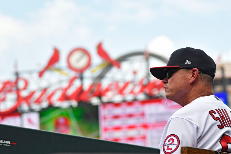 St. Louis Cardinals manager Mike Shildt.