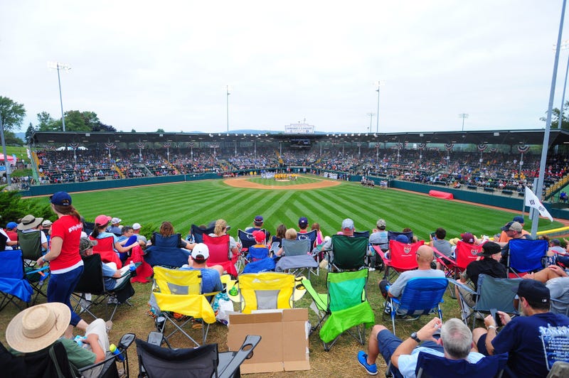 Little League World Series