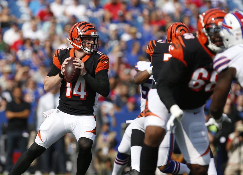 Cincinnati Bengals quarterback Andy Dalton (14) looks to throw a pass during the first half against the Buffalo Bills at New Era Field.