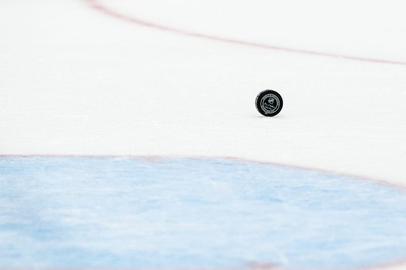Hockey Puck
