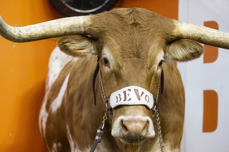 Bevo, Texas Longhorns