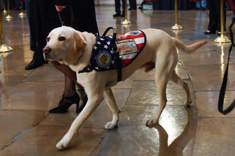 Sully, Funeral, President George H.W. Bush, 2018