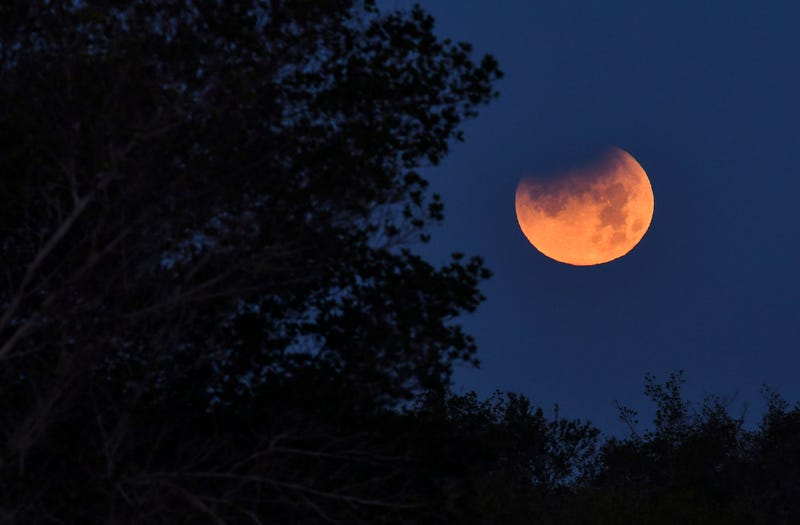 Blue moon
