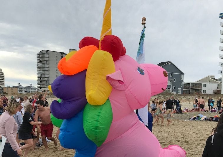 Unicorn Costume, 25th Annual Penguin Swim, Beach, Pink Unicorn, 2019