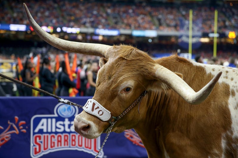 Bevo at 2019 Sugar Bowl