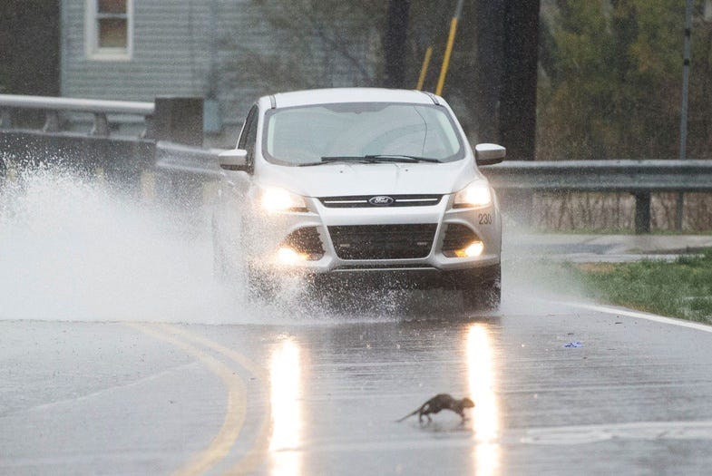 A car drives through standing water