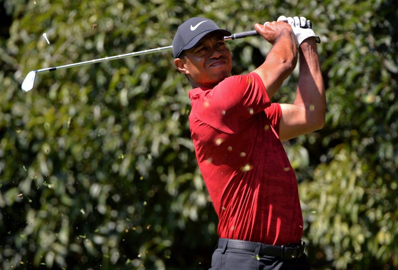 Tiger Woods