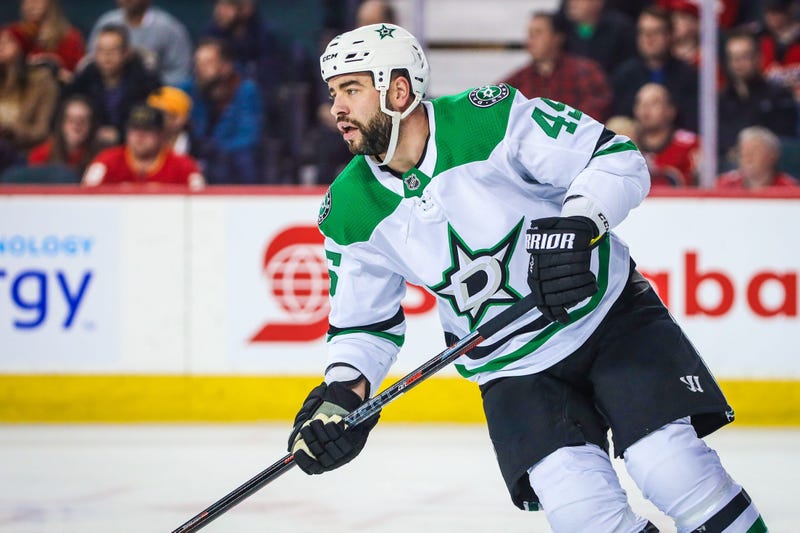 Dallas Stars defenseman Roman Polak