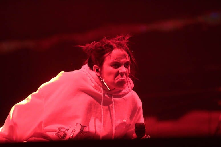 billie eilish, melissa mccarthy, ellen, scared, terrified, los angeles,