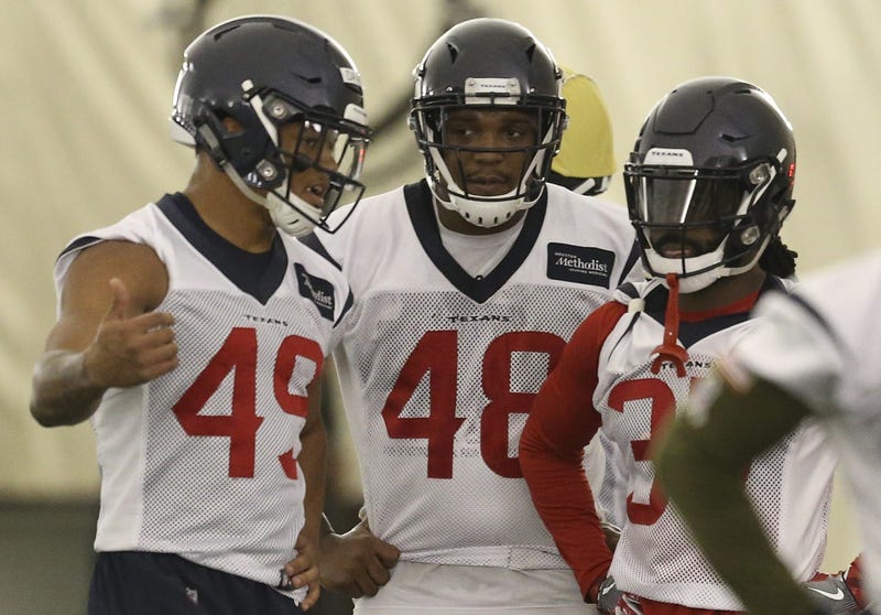 Minicamp Texans