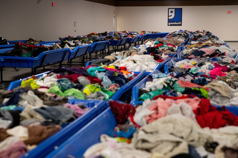 Goodwill