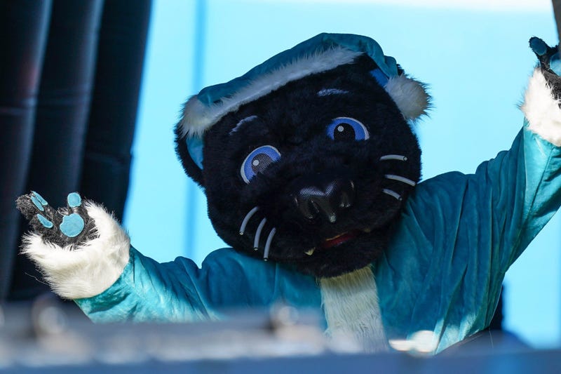 SirPurr 