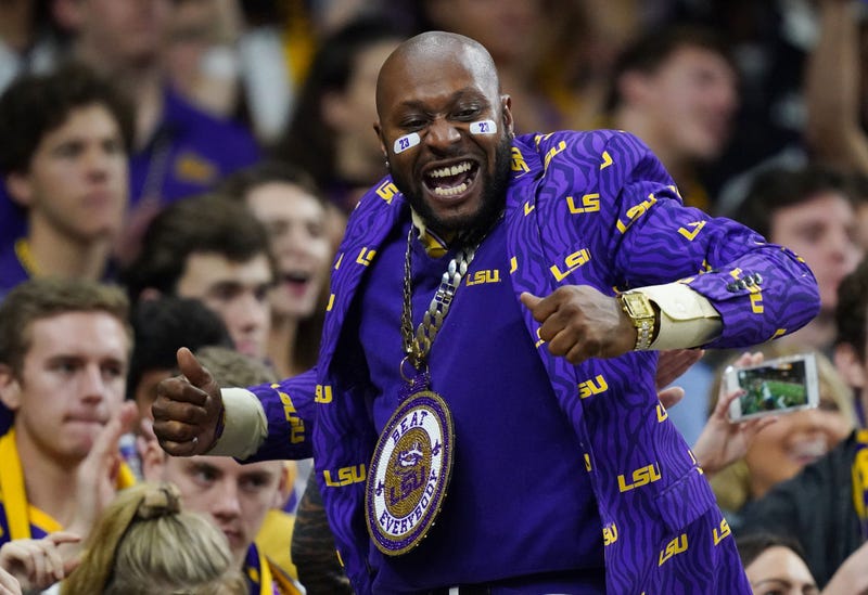 LSU fans 