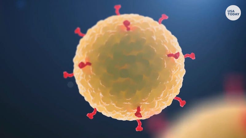 Coronavirus under a microscope