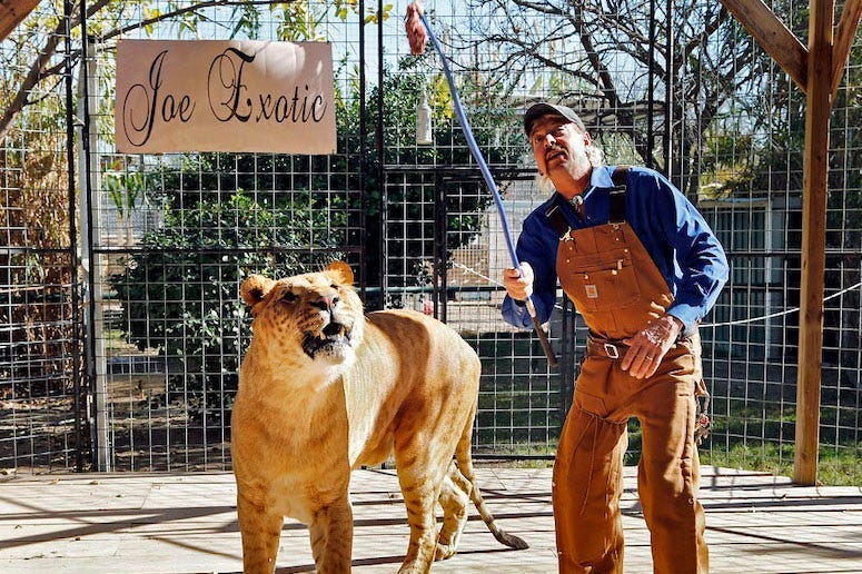 Joe Exotic, Stage, Tiger, 2016