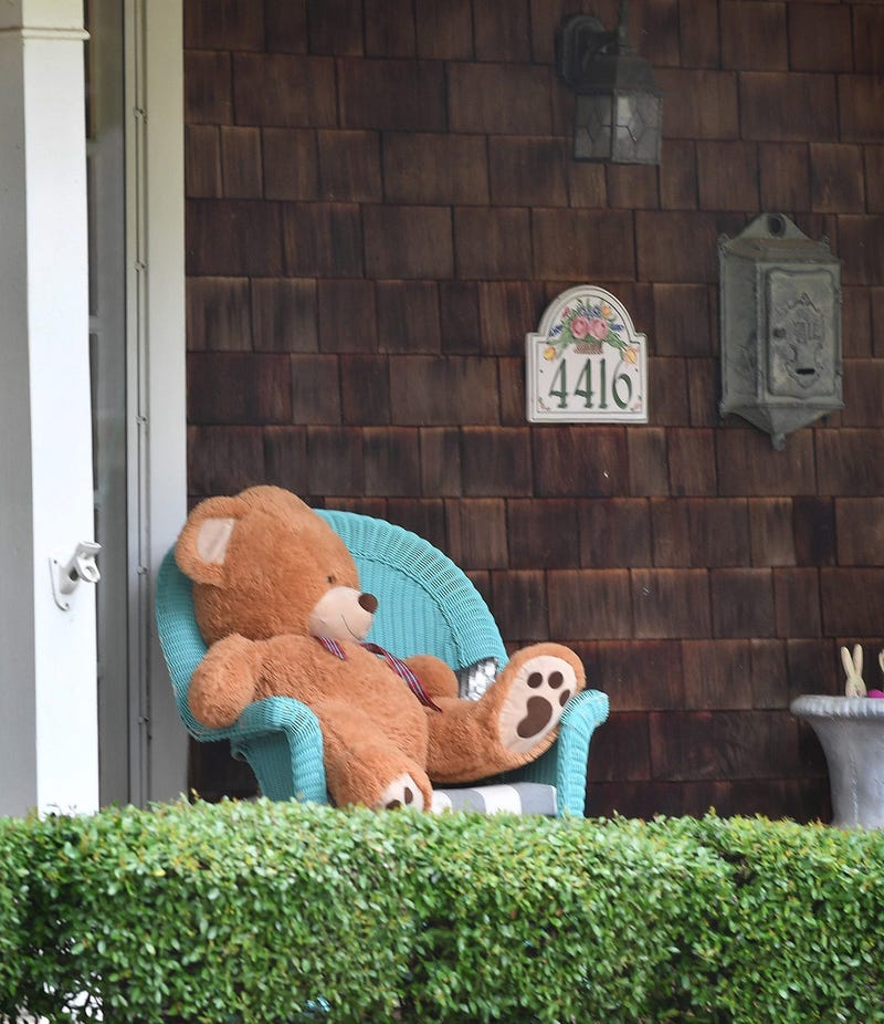 Teddy Bear
