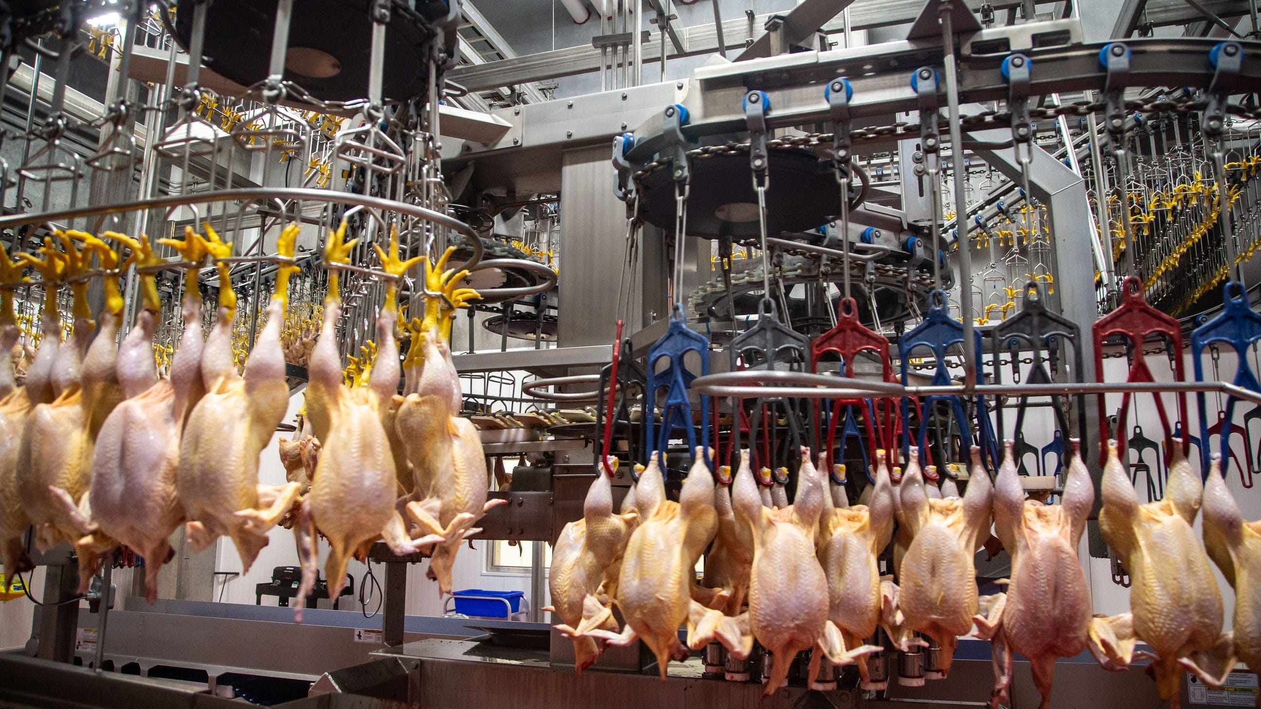 After virus crippled supply chain, Pa. poultry farmers adapt to new demands