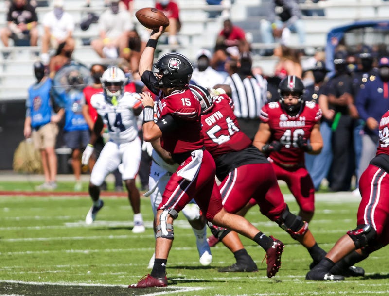 gamecocks