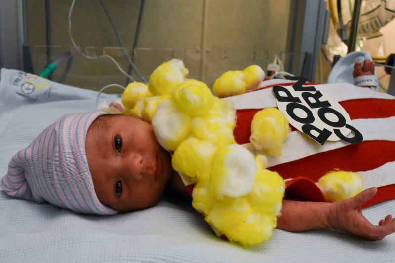 The staff in the NICU at Tallahassee Memorial HealthCare dress newborn babies for Halloween. 122946702 3612163592156229 5934913856149128232 O