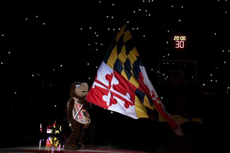 Testudo