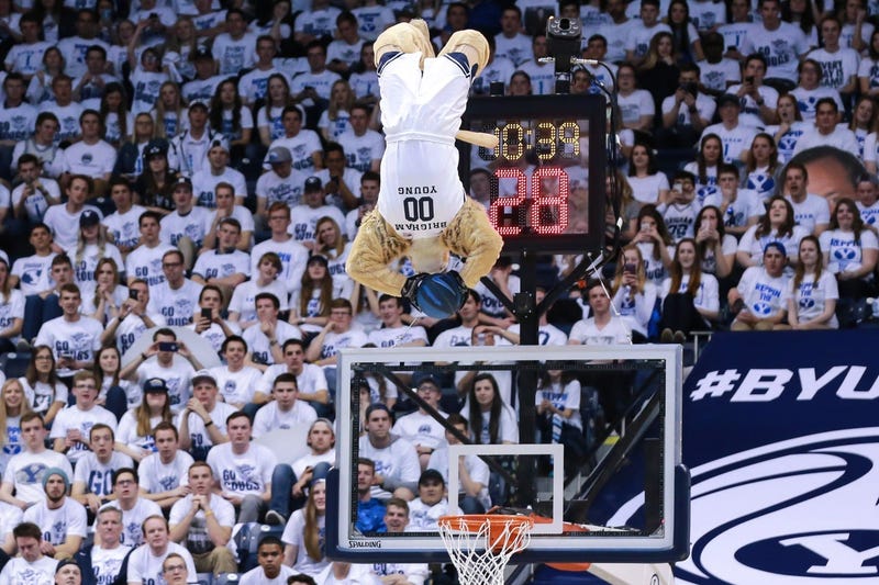 Cosmo the Cougar