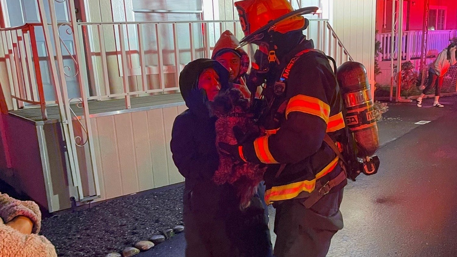 Dogs saved from Rohnert Park mobile home fire on Christmas