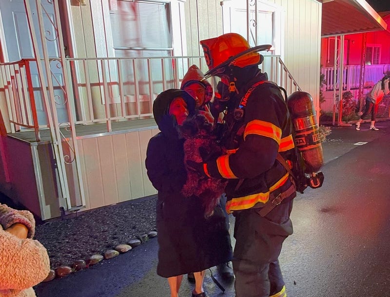 Two dogs were rescued from a house fire in Rohnert Park on Christmas after an unattended candle caught flame.