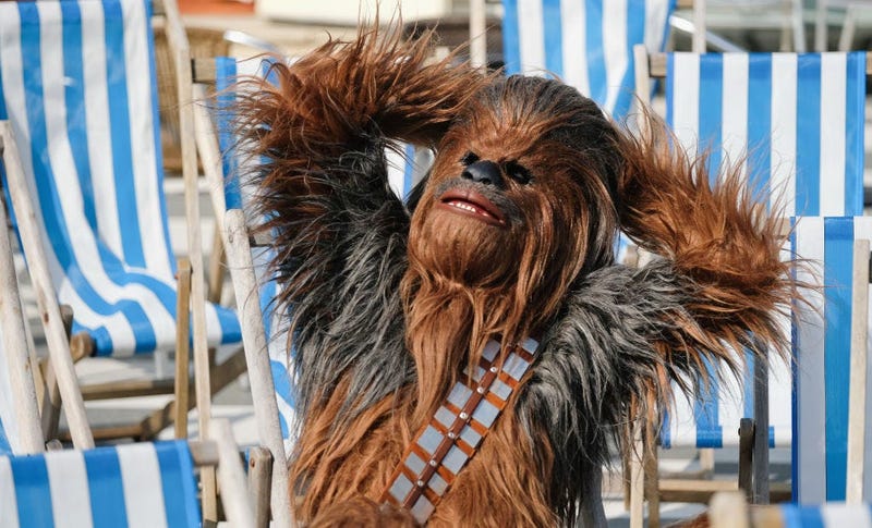 chewbacca on vacation