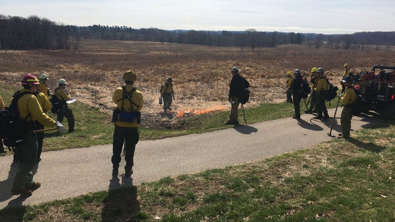 Controlled burn in Valley Forge National Park
