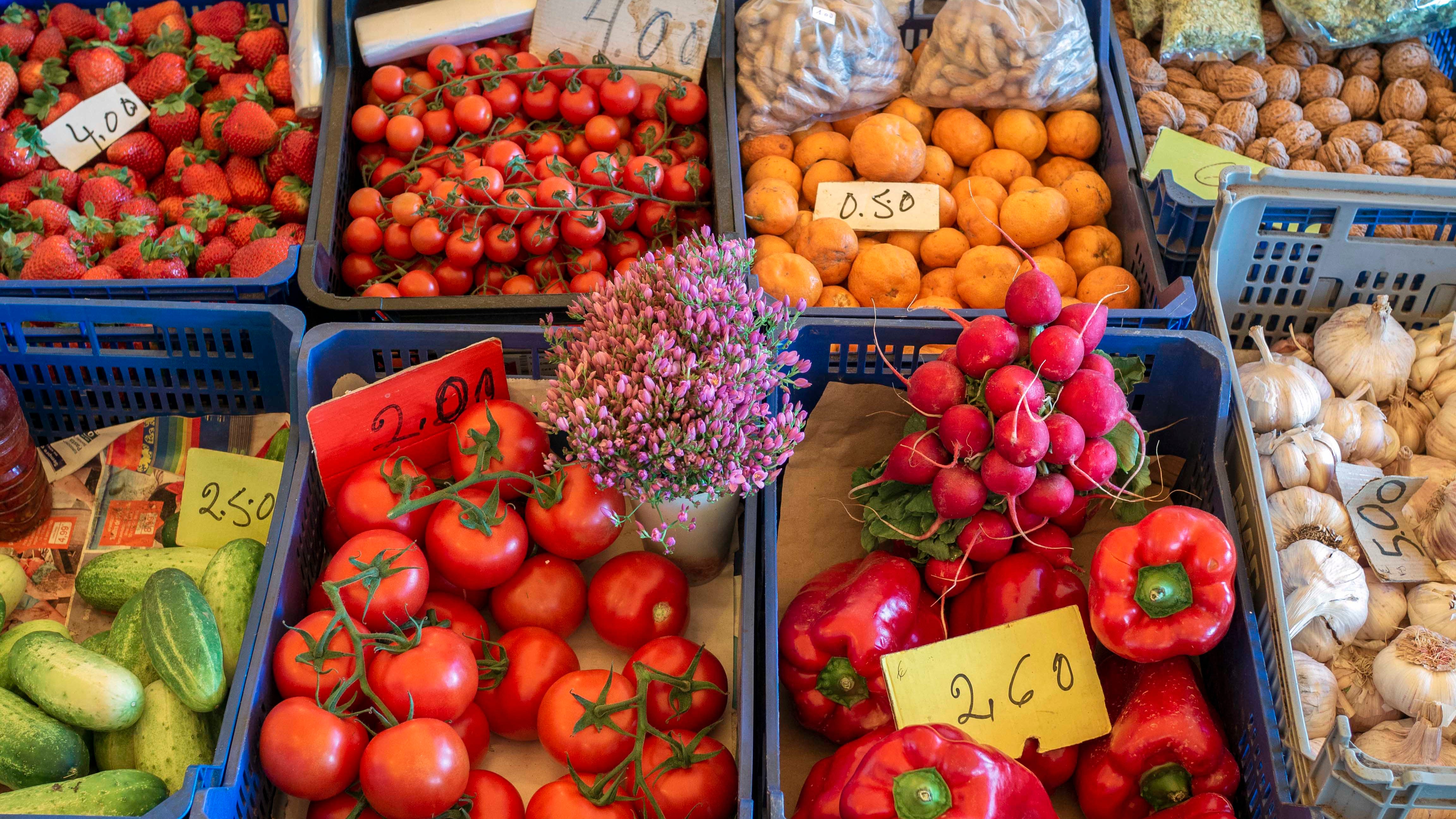 7 Easy Things You Can Do This Earth Day to Be More Sustainable