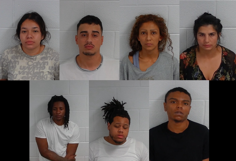 These booking photos show seven of the 11 individuals who were arrested in Vernon Hills during Memorial Day weekend over accusations that they participated in a retail theft ring.