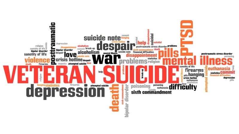 The Maryland Department of Veterans and Military Families joined Objective Zero Foundation and Face the Fight to reduce suicide among service members, veterans and families. 