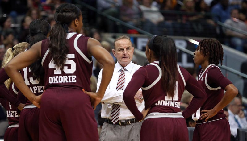 Vic Schaefer
