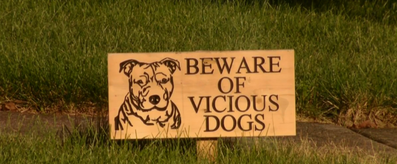 Vicious dog sign