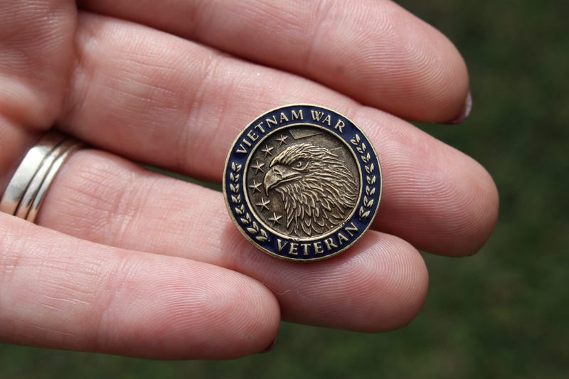 Vietam War commemoration pin