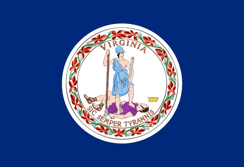 Flag of the USA State of Virginia, vector