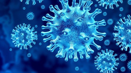 Michigan confirms first case of South African COVID variant
