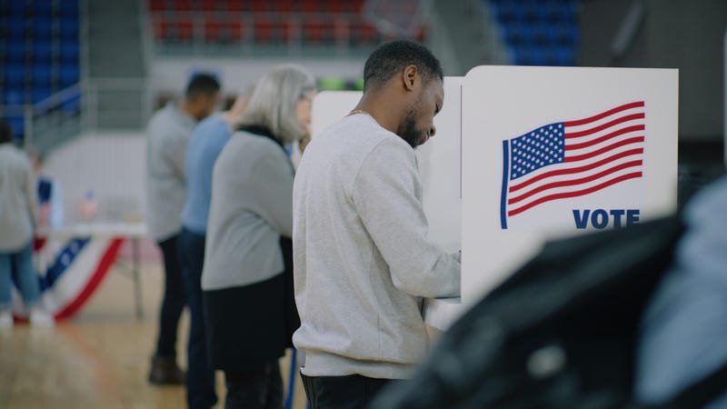 Voters stand at voting booths