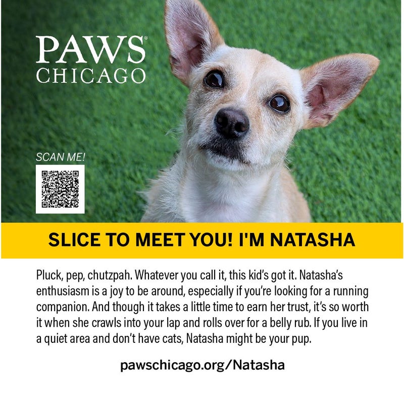 PAWS Chicago