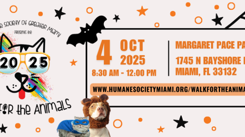 Walk for the Animals