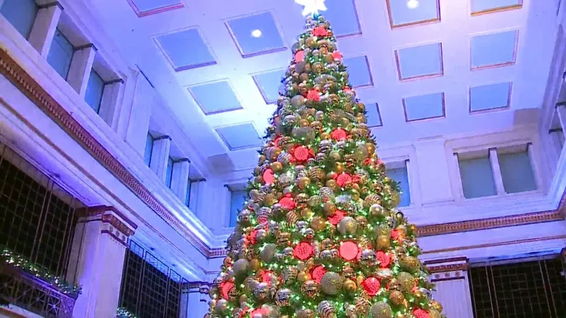 The Walnut Room, Macy's, Downtown Chicago, Great Tree, Annual Christmas Tradition